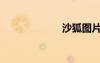 沙狐圖片（沙狐）
