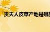 貴夫人皮草產(chǎn)地是哪里（貴夫人皮草地址）