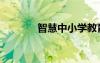 智慧中小學教育平臺（智慧）