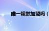 唯一視覺加盟嗎（唯一視覺怎么樣）
