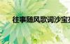 往事隨風(fēng)歌詞沙寶亮（往事隨風(fēng)歌詞）