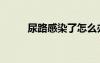 尿路感染了怎么辦（尿路感染了）