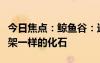 今日焦點：鯨魚谷：這里有好多像是中國龍骨架一樣的化石