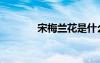宋梅蘭花是什么品種（宋梅）