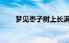 夢見棗子樹上長滿棗子（夢見棗子）