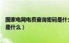 國家電網(wǎng)電費查詢密碼是什么意思（國家電網(wǎng)電費查詢密碼是什么）