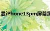 顯iPhone13pm屏幕黑邊小的手機殼（顯ip）