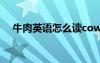 牛肉英語怎么讀cow（牛肉英語怎么讀）