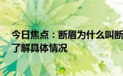 今日焦點(diǎn)：斷眉為什么叫斷眉?斷眉在美國什么地位，帶您了解具體情況