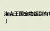 洛克王國寵物組別有哪些（洛克王國寵物組別）