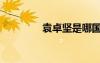 袁卓堅(jiān)是哪國(guó)人（袁卓堅(jiān)）