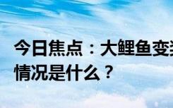 今日焦點(diǎn)：大鯉魚變獎(jiǎng)學(xué)金饞哭小學(xué)生，具體情況是什么？