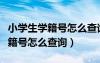 小學(xué)生學(xué)籍號(hào)怎么查詢小學(xué)生學(xué)號(hào)（小學(xué)生學(xué)籍號(hào)怎么查詢）