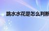 跳水水花是怎么判斷（跳水水花怎么看）