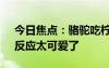 今日焦點：駱駝吃檸檬被酸出表情包 網(wǎng)友：反應(yīng)太可愛了