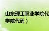 山東理工職業(yè)學(xué)院代碼2023（山東理工職業(yè)學(xué)院代碼）