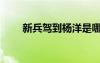 新兵駕到楊洋是哪一期（新兵駕到）