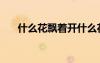 什么花飄著開(kāi)什么花（什么花飄著開(kāi)）