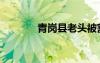青崗縣老頭被割事件（青崗）