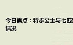 今日焦點(diǎn)：特步公主與七匹狼公子舉行婚禮，詳細(xì)分析具體情況