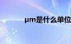 μm是什么單位 ′??¨μ?ê???