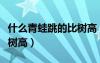 什么青蛙跳的比樹高（為什么青蛙可以跳得比樹高）