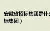 安徽省招標集團是什么性質(zhì)的單位（安徽省招標集團）