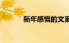 新年感慨的文案 新年感慨說說