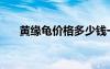 黃緣龜價(jià)格多少錢(qián)一斤（黃緣龜價(jià)格）
