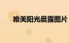 唯美陽(yáng)光晨露圖片 唯美清晨陽(yáng)光圖片