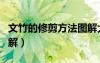 文竹的修剪方法圖解大全（文竹的修剪方法圖解）