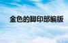 金色的腳印部編版 《金色的腳印》教案