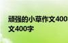 頑強(qiáng)的小草作文400字四年級(jí) 頑強(qiáng)的小草作文400字