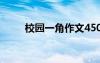 校園一角作文450字 校園一角作文