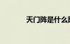 天門陣是什么陣法（天門陣）
