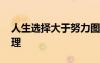 人生選擇大于努力圖片 人生選擇大于努力哲理
