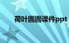荷葉圓圓課件ppt 《荷葉圓圓》課件