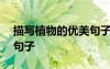 描寫植物的優(yōu)美句子300字 描寫植物的優(yōu)美句子