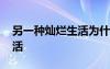 另一種燦爛生活為什么下架了 另一種燦爛生活