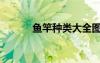 魚竿種類大全圖片（魚竿種類）