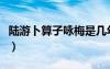 陸游卜算子詠梅是幾年級的（陸游卜算子詠梅）