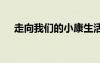 走向我們的小康生活 我的小康生活作文