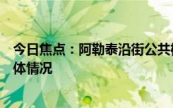 今日焦點：阿勒泰沿街公共機(jī)構(gòu)廁所對外開放，帶您了解具體情況