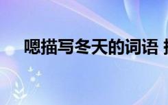 嗯描寫(xiě)冬天的詞語(yǔ) 描寫(xiě)冬天的詞語(yǔ)參考