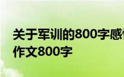 關(guān)于軍訓(xùn)的800字感悟作文 軍訓(xùn)心得-軍訓(xùn)的作文800字