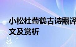小松杜荀鶴古詩翻譯 杜荀鶴唐詩《小松》譯文及賞析