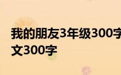 我的朋友3年級300字 我的朋友小學三年級作文300字