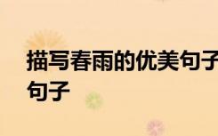 描寫春雨的優(yōu)美句子300字 描寫春雨的優(yōu)美句子