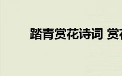 踏青賞花詩詞 賞花踏青的優(yōu)美詩句