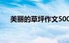 美麗的草坪作文500字 美麗的草坪作文